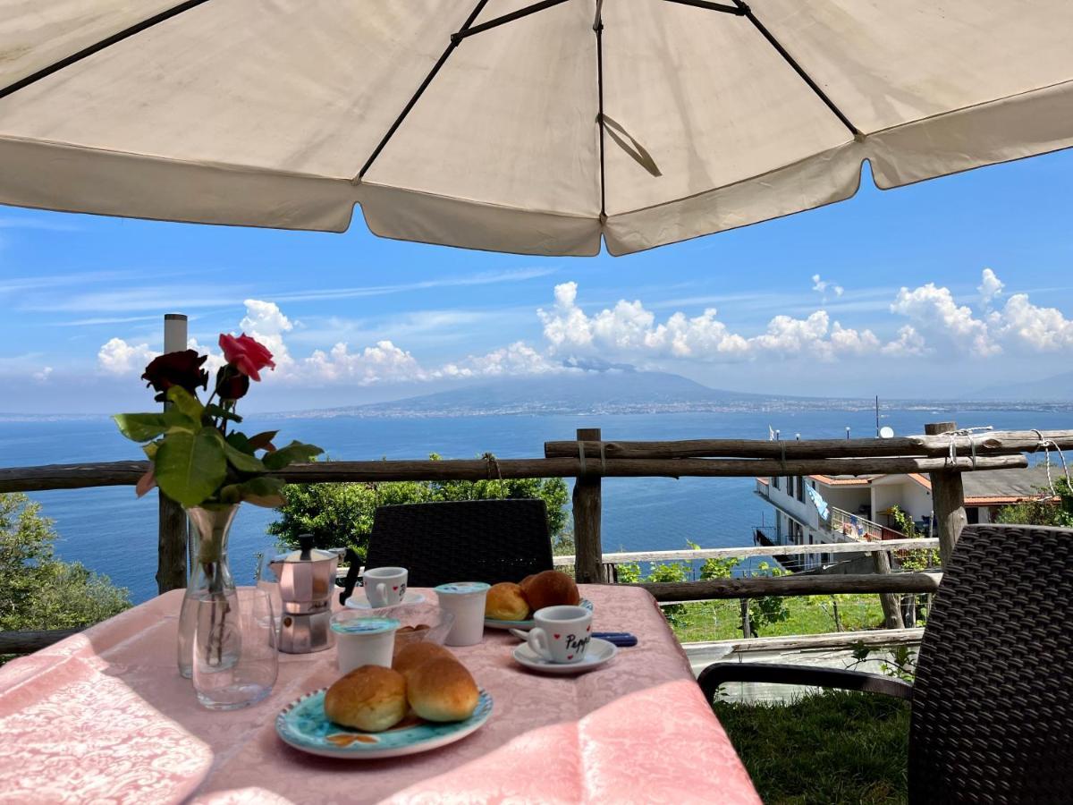 La Badia Montechiaro - Breathtaking View Of Sorrento Coast Villa Vico Equense Kültér fotó