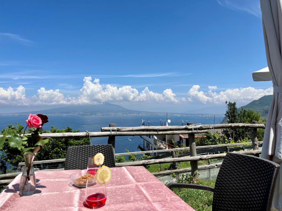 La Badia Montechiaro - Breathtaking View Of Sorrento Coast Villa Vico Equense Kültér fotó