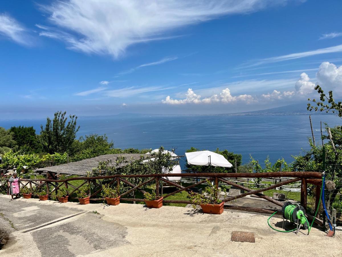 La Badia Montechiaro - Breathtaking View Of Sorrento Coast Villa Vico Equense Kültér fotó