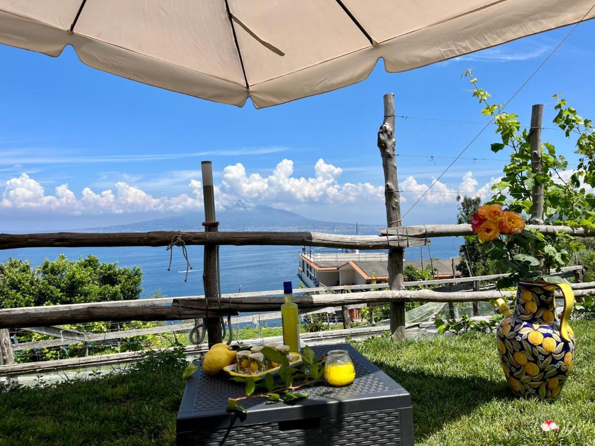 La Badia Montechiaro - Breathtaking View Of Sorrento Coast Villa Vico Equense Kültér fotó